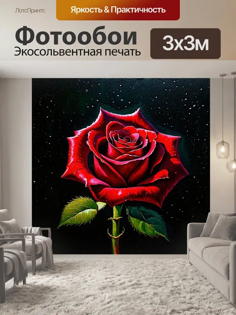 Фотообои красная роза на черном фоне