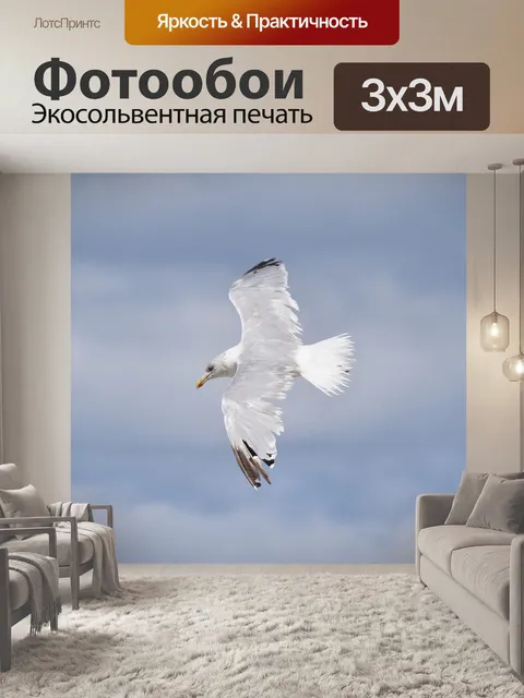 Фотообои Чайка