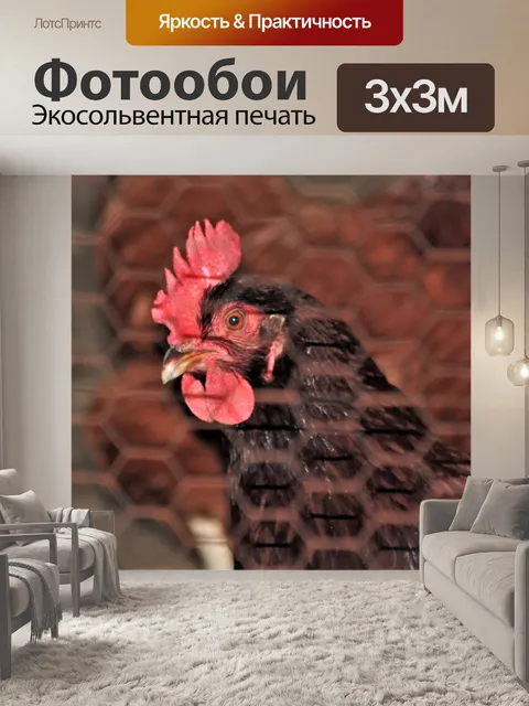 Фотообои Розовый остров Красный петух Крупный пла
