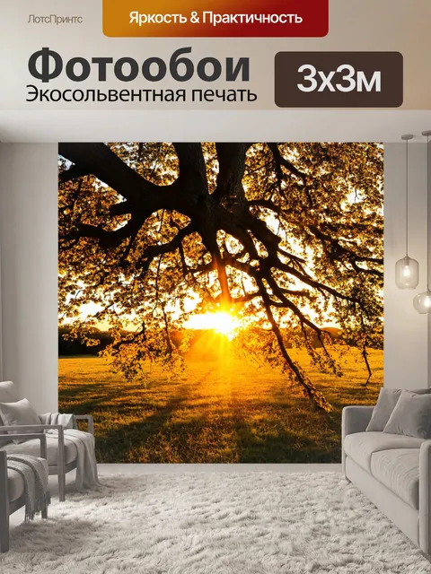 Фотообои с ветками старого дуба на фоне заката, с золотыми лучами солнца, пробивающимися сквозь листву