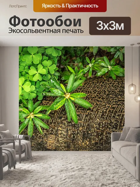 Фотообои Трилистник