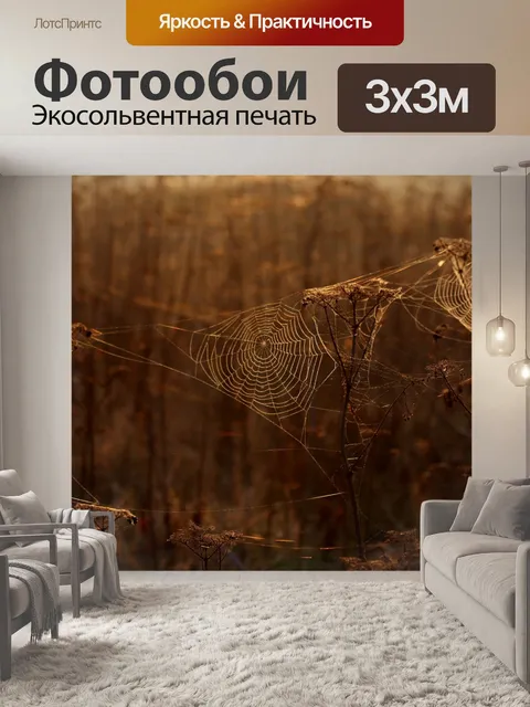 Фотообои Дымка