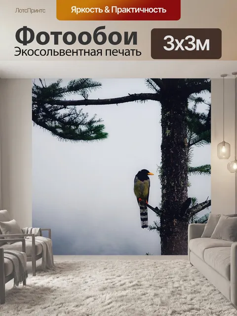 Фотообои Птица