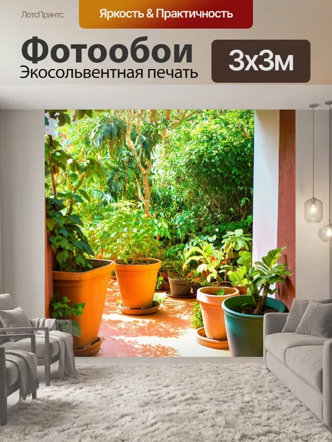 Фотообои солнечная веранда с зелеными растениями