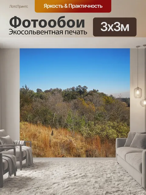 Фотообои луга и открытые леса на холме