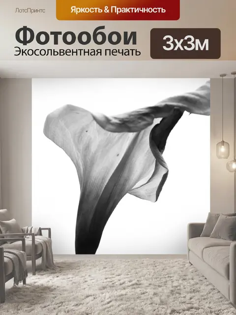 Фотообои Арумская лилия в черно-белом