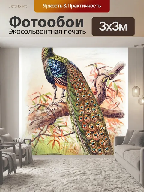Фотообои Павлин старинное искусство старый