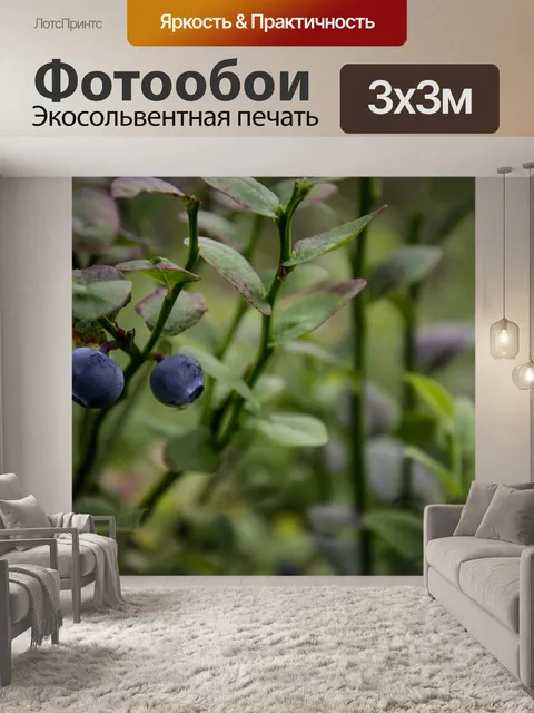 Фотообои Лес