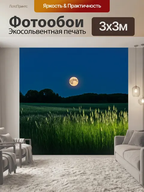 Фотообои поле, освещаемое мягким светом луны, с травами, кажущимися серебристыми и нежными на ощупь