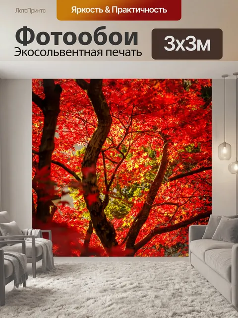 Фотообои Японский клен