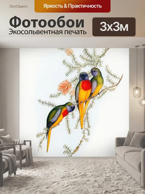 Фотообои Винтажные птицы попугай арт
