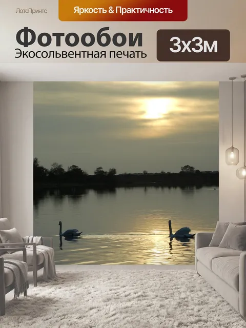 Фотообои Лебедь