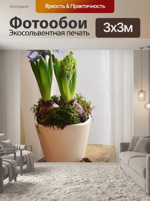 Фотообои Гиацинт