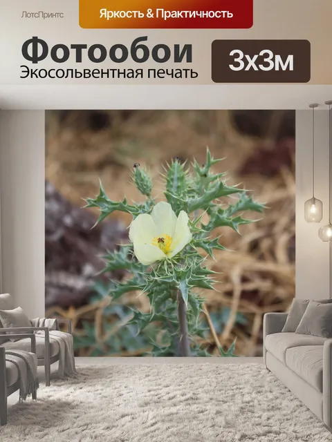 Фотообои Африке