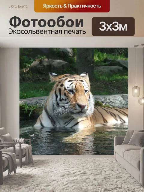 Фотообои Тигрица