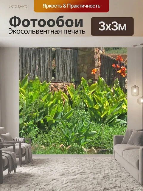 Фотообои Цветущие оранжевые канны