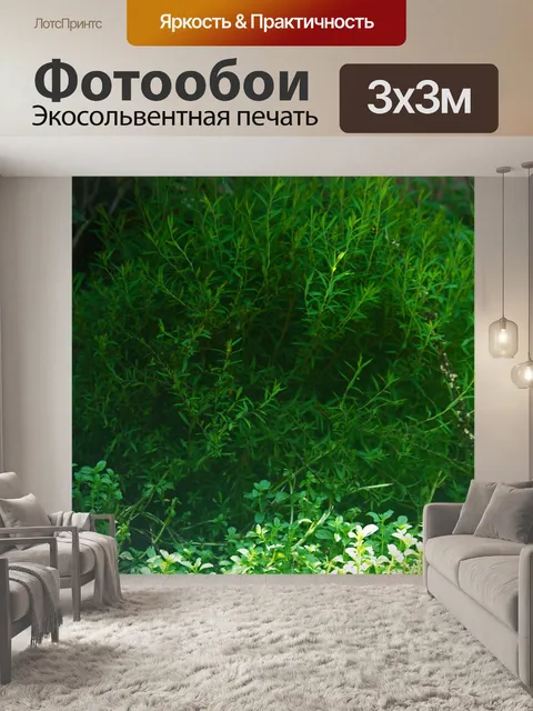 Фотообои зеленая растительность в саду