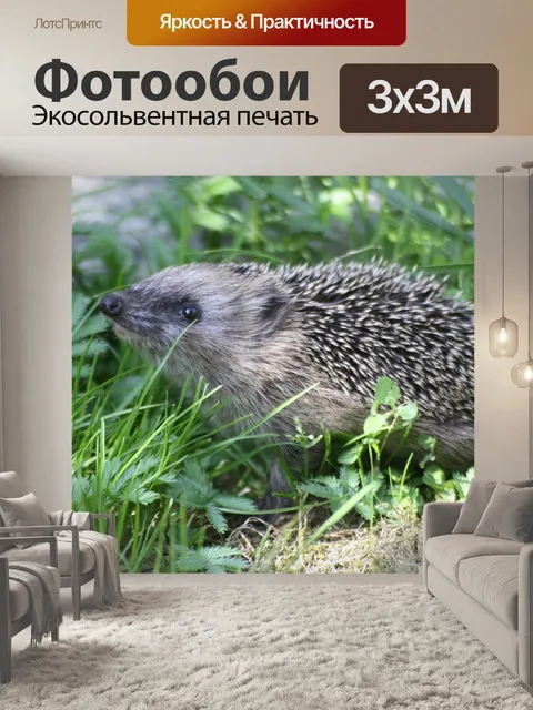 Фотообои Природа