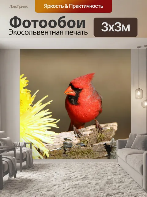 Фотообои Мужские кардинальные и желтые мамы