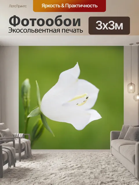 Фотообои Цветок воздушного шара