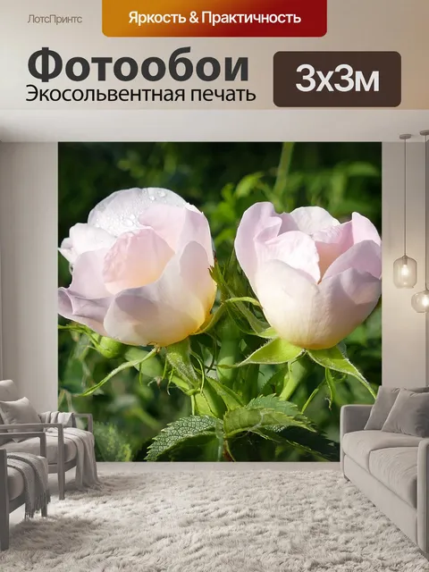 Фотообои Роза ветров
