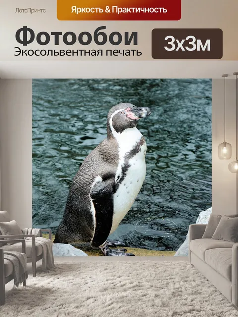 Фотообои Пингвин