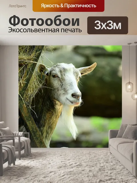 Фотообои Козел