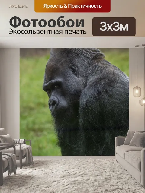Фотообои горилла