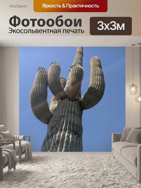 Фотообои Сагуаровый кактус