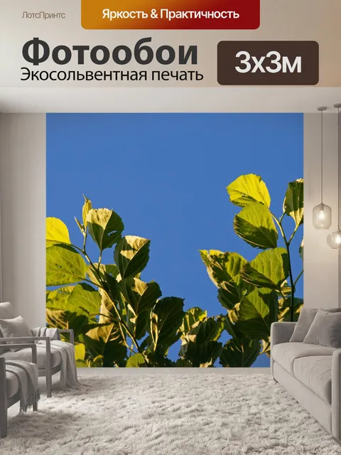 Фотообои зеленые листья на верхушке шелковицы