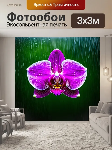 Фотообои орхидея под дождем, с каплями воды, стекающими по лепесткам