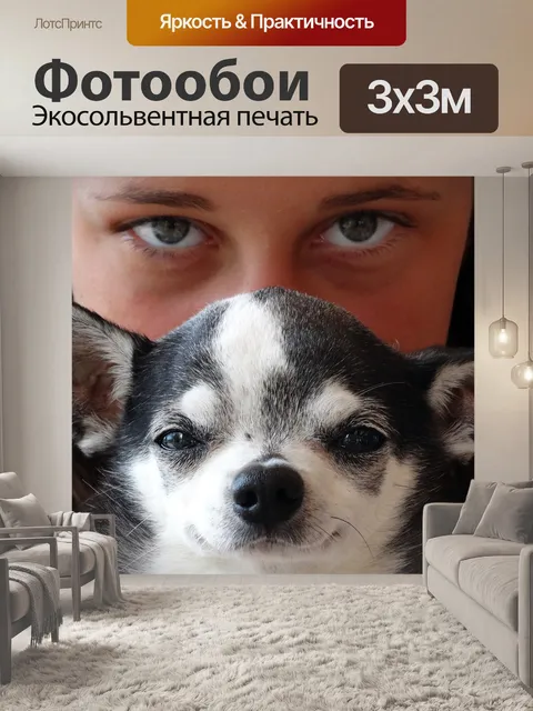 Фотообои Dog
