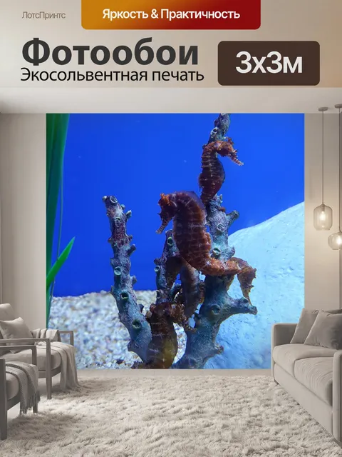 Фотообои Морской конек