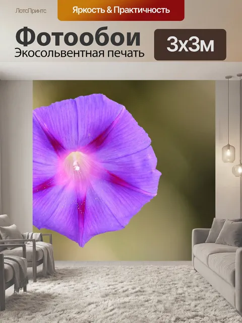 Фотообои Великолепные ветры