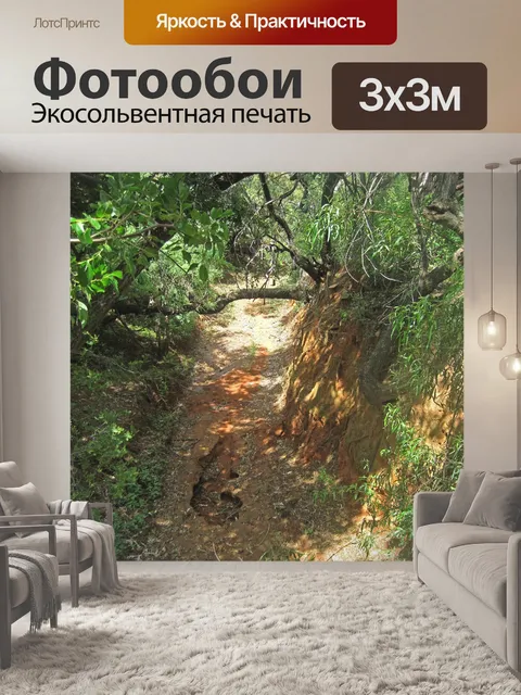 Фотообои свидетельство эрозии в канаве