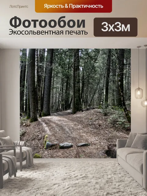 Фотообои Лесной путь