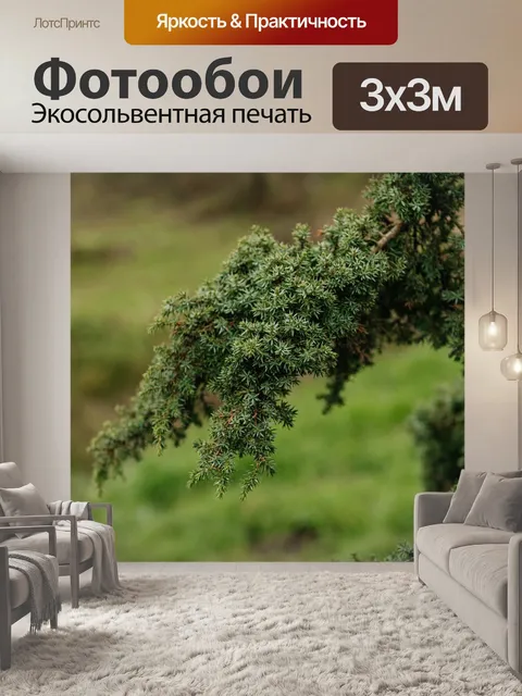 Фотообои Ель