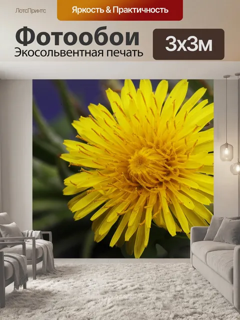 Фотообои Весна