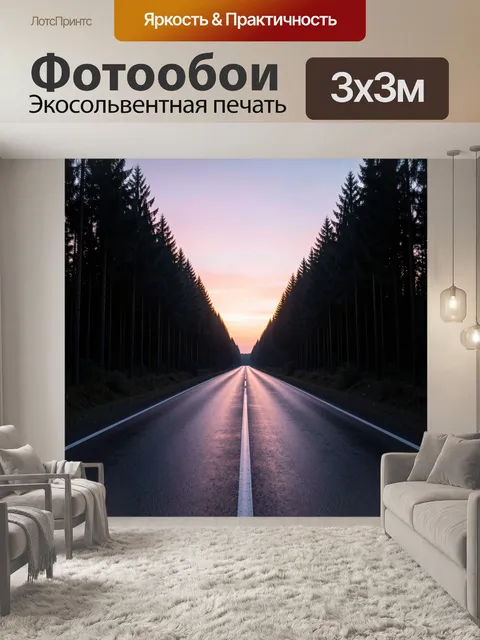 300 × 300 см · Экосольвентная печать