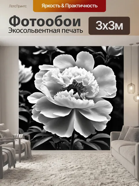 Фотообои пионы в черно-белом стиле