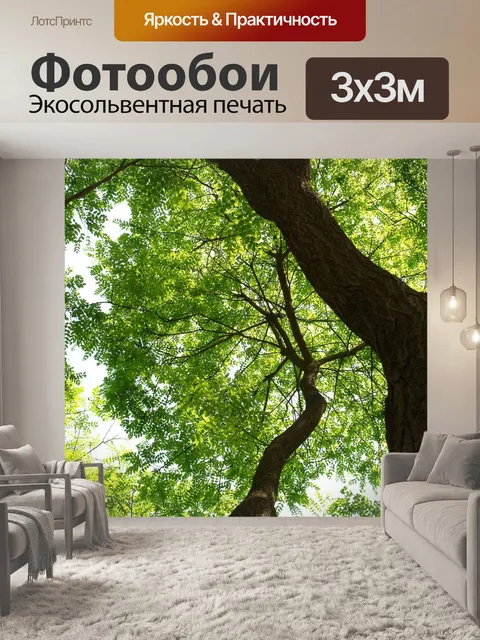 Фотообои Деревья