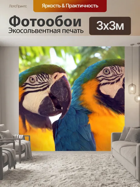 Фотообои Попугаи ара или