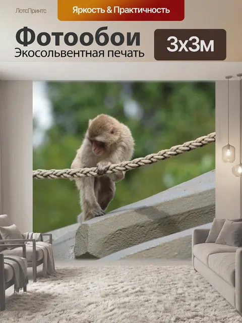 Фотообои Веревка обезьян 3