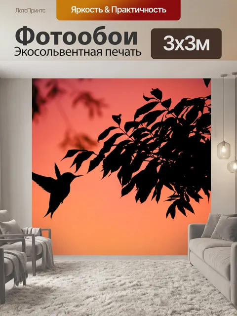 Фотообои Колибри, полет, птица