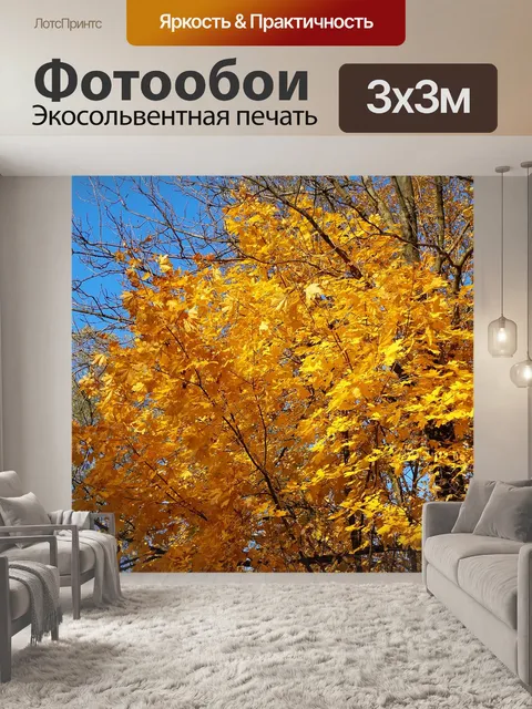 Фотообои Деревья