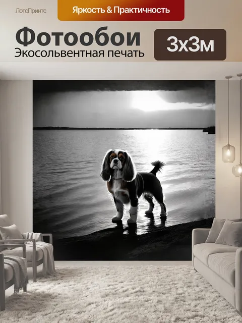 Фотообои кавалер кинг чарльз, стоящий на берегу тихого озера, отражающего небеса на закате, создаёт поэтичную сцену