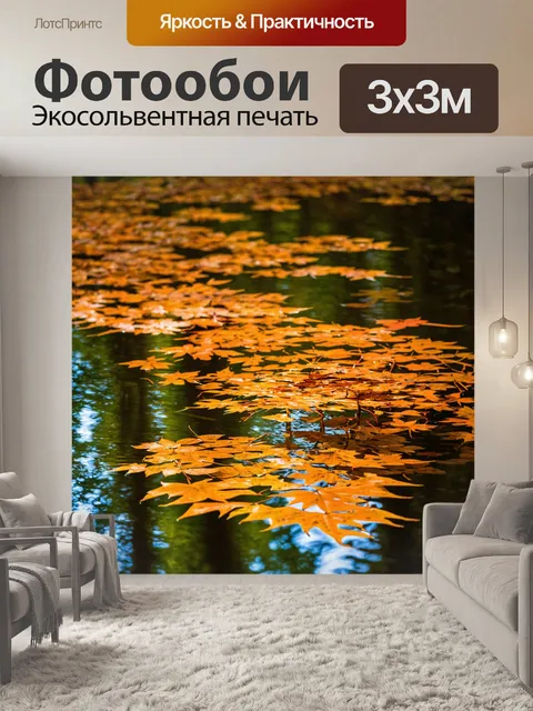 Фотообои оранжевый цвет: оранжевые листья в водяной глади в тени леса
