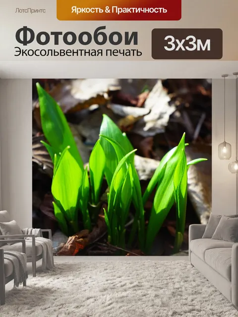 Фотообои Листья