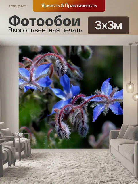 Фотообои Цветок