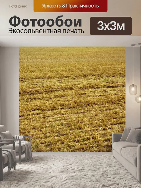 Фотообои Щетина